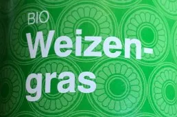 Weizengras Weizengras